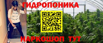 прущие грибы Кингисепп