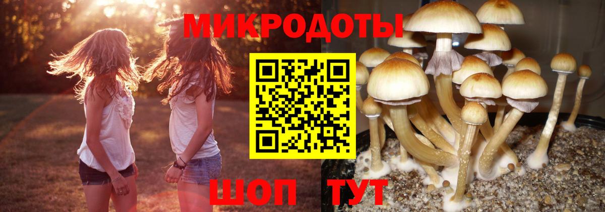 Краснокаменск  Псилоцибиновые грибы мухоморы  Вход с VPN 
